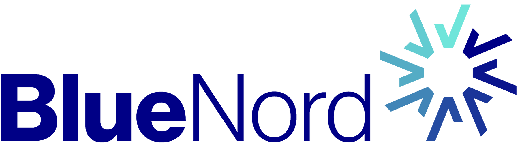BlueNord logo